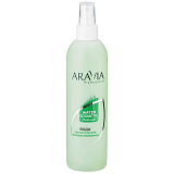 ARAVIA Professional 1023, Минерализованная вода с мятой и витаминами, 300 мл